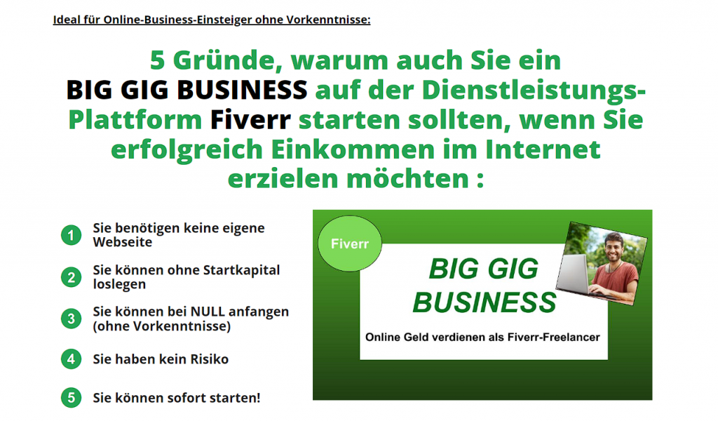 Big Gig Business Erfahrungen
