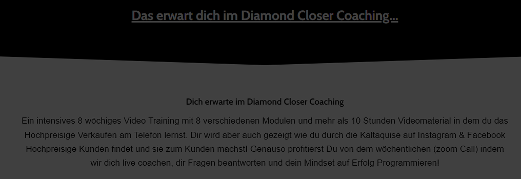 Diamond Closer Coaching Erfahrungen