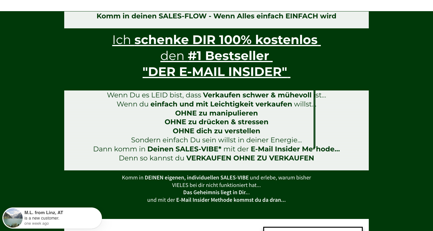 E-Mail Insider Buch Erfahrungen