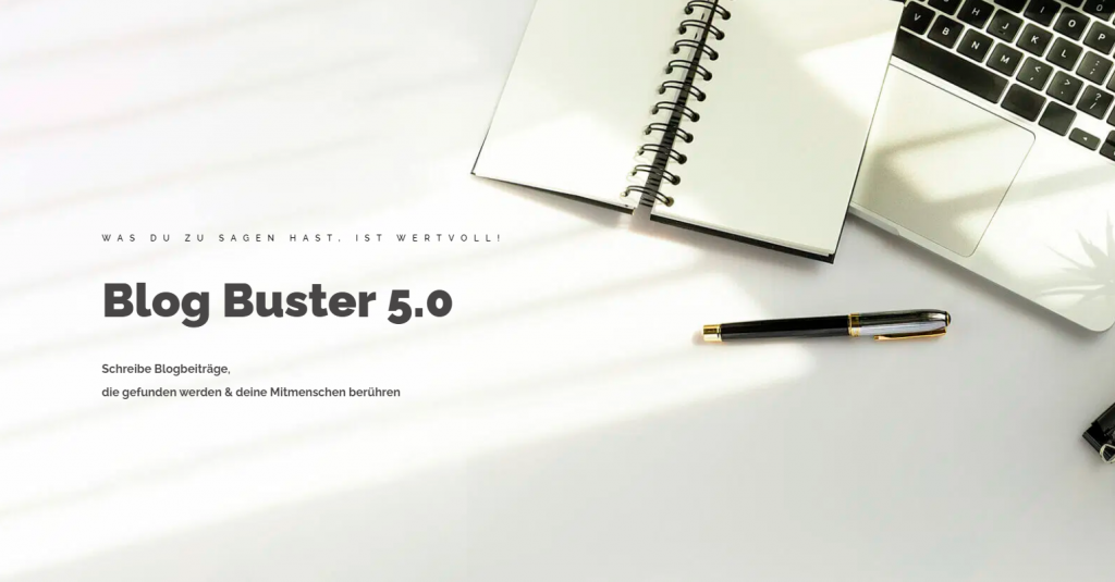 Blog Buster 5.0 Erfahrungen